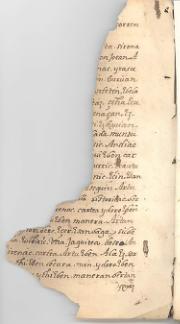hurrengo orrialdea →